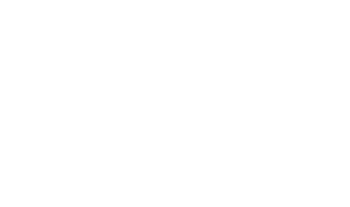 Visbook Logo Vit